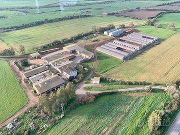 Azienda Agricola 70 ettari