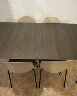 TAVOLO CALLIGARIS (no sedie)