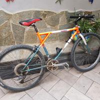 Bicicletta Mountainn Bike Coppi
