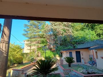 Bilocale arredato Cosenza zona ospedale Annunziat