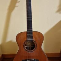 Chitarra Acustica EKO  WOW A800E cr