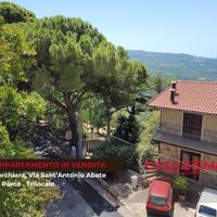 Torchiara trilocale in parco