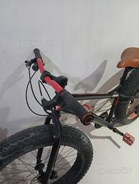 bicicletta 