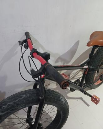 bicicletta 