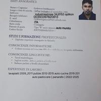 Auto cucina o lavapiatti