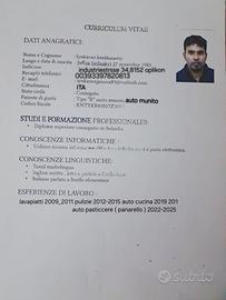 Auto cucina o lavapiatti