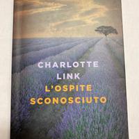 L'ospite sconosciuto