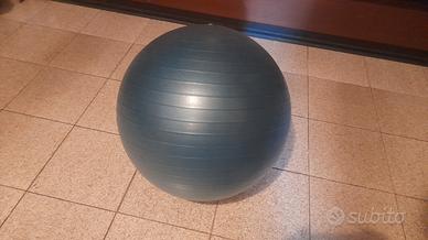 palla da fitball da 60 cm