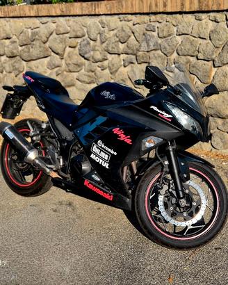 ninja 300