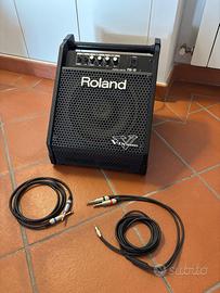 Roland monitor PM 10