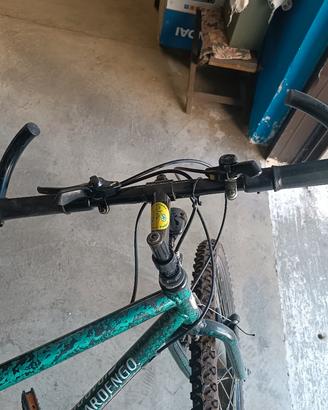 Mountain bike