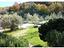 Immagine 15