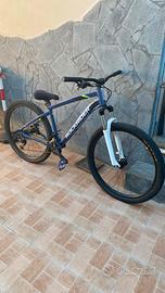 bici trike