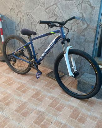 bici trike