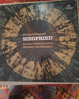 Siegfried Richard Wagner vinili