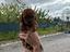 Immagine 4