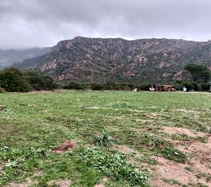 Terreno recintato San Priamo Sarrabus