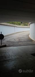 Box grande 22mq