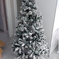 Albero di natale
