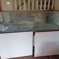 Acquario 630 litri