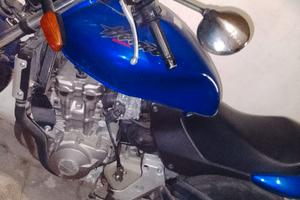 Hornet 600 blu elettrico