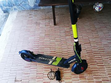 MONOPATTINO ELETTRICO ARGENTO