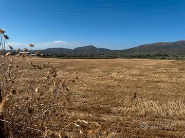 DOLIANOVA:Terreno di 15.000mq recintato
