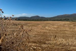 DOLIANOVA:Terreno di 15.000mq recintato