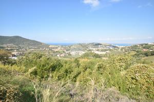 TER. AGRICOLO A AGROPOLI