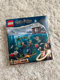 Set LEGO Harry Potter 76420