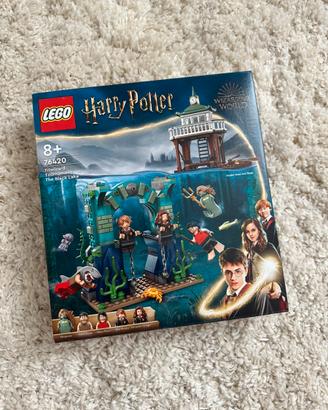 Set LEGO Harry Potter 76420