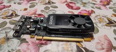 2 schede video Nvidia quadro p620