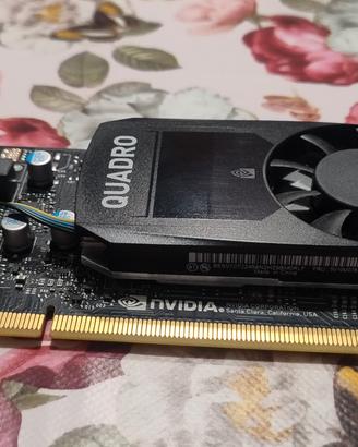 2 schede video Nvidia quadro p620