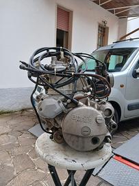 Blocco motore Rotax Aprilia Rs 125