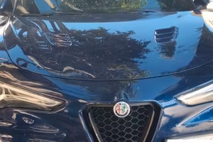 Stelvio Quadrifoglio 2019