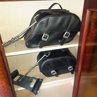 borse originali Triumph Bonneville 