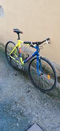bici da citta/corsa