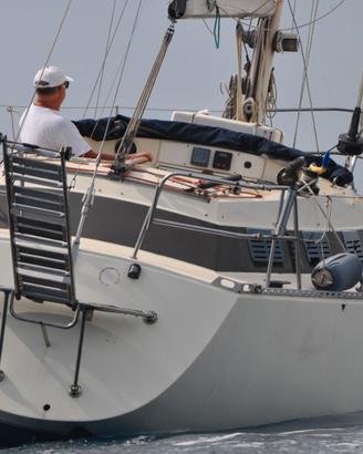 Altura Ferretti " Meneghino "