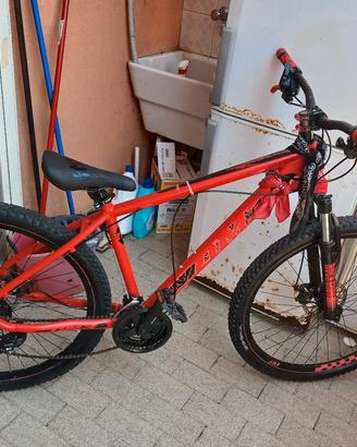 bici  per immpenare