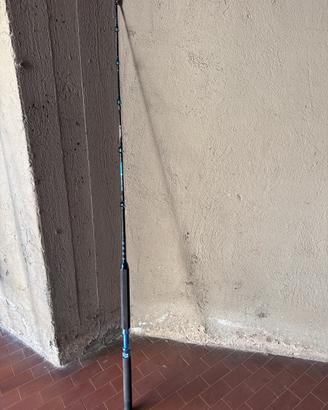 Canna traina 20/40lb