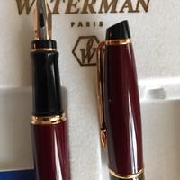 Penna stilografica Waterman