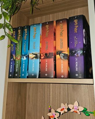 libri Harry Potter 