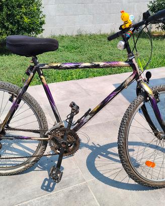 mountain-bike 