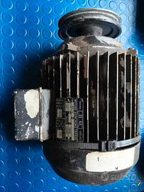 Motore elettrico trifase 