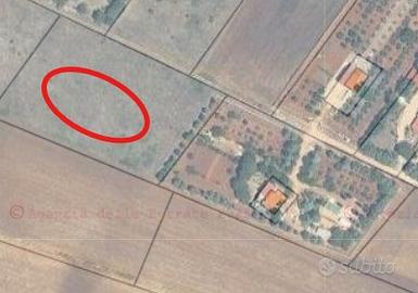 Vendita terreno agricolo di circa 1 ettaro e 2 are