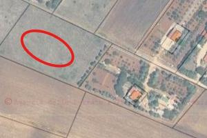 Vendita terreno agricolo di circa 1 ettaro e 2 are