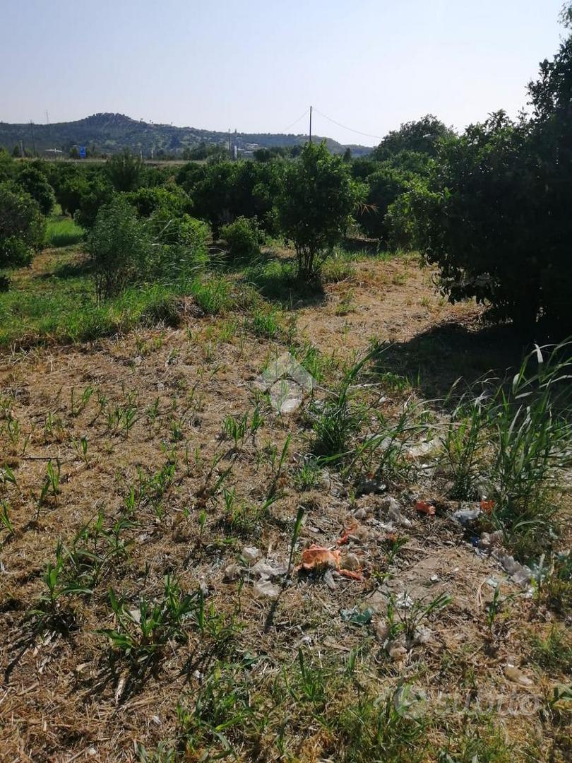 TER. AGRICOLO A SQUILLACE - Vista 2