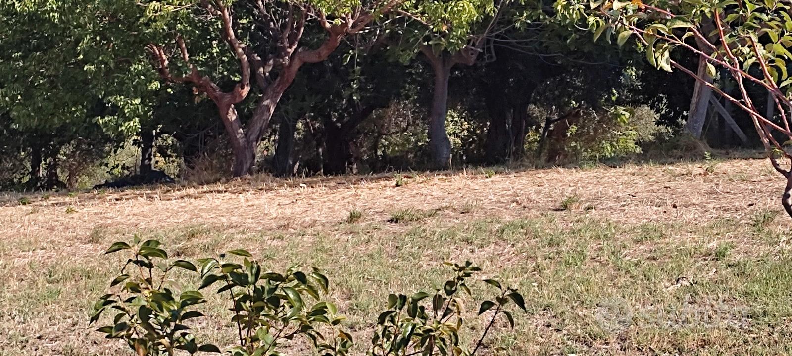 Terreno Agricolo con 2 locali - Vista 4