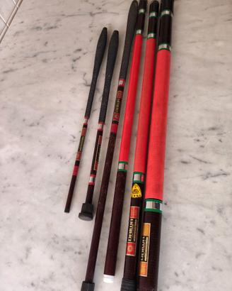 Canne da pesca Daiwa fisse