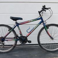 Bicicletta da montagna per ragazzo